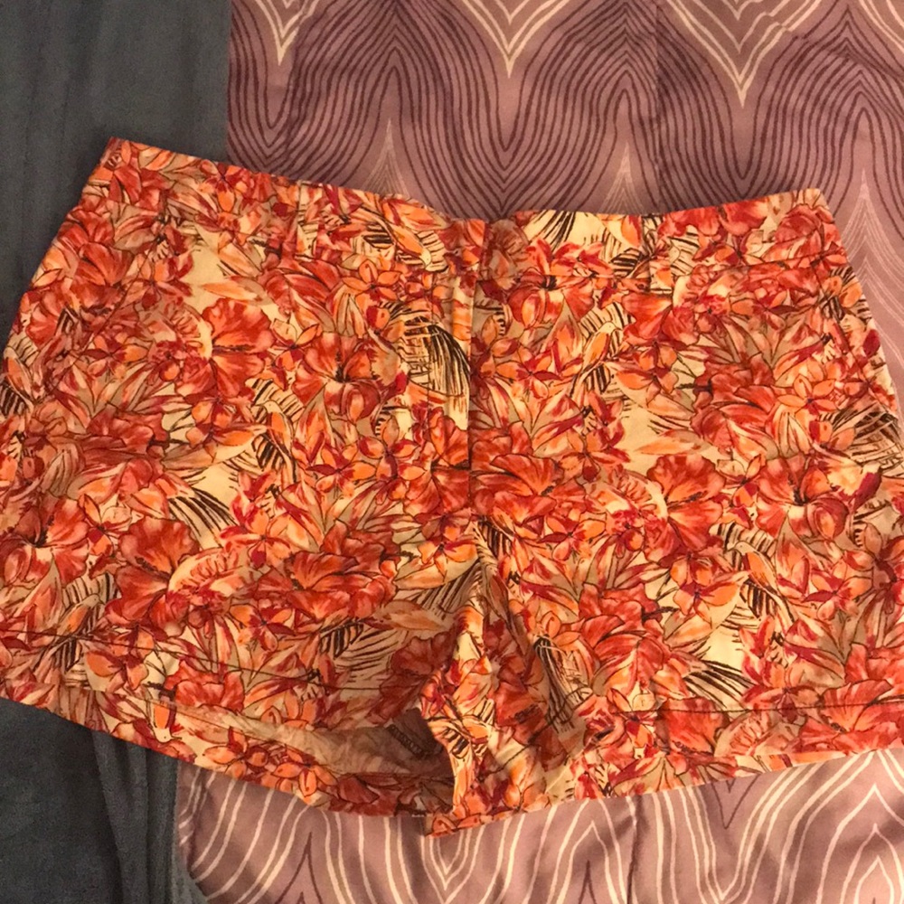 Ann Taylor Loft size 14 shorts